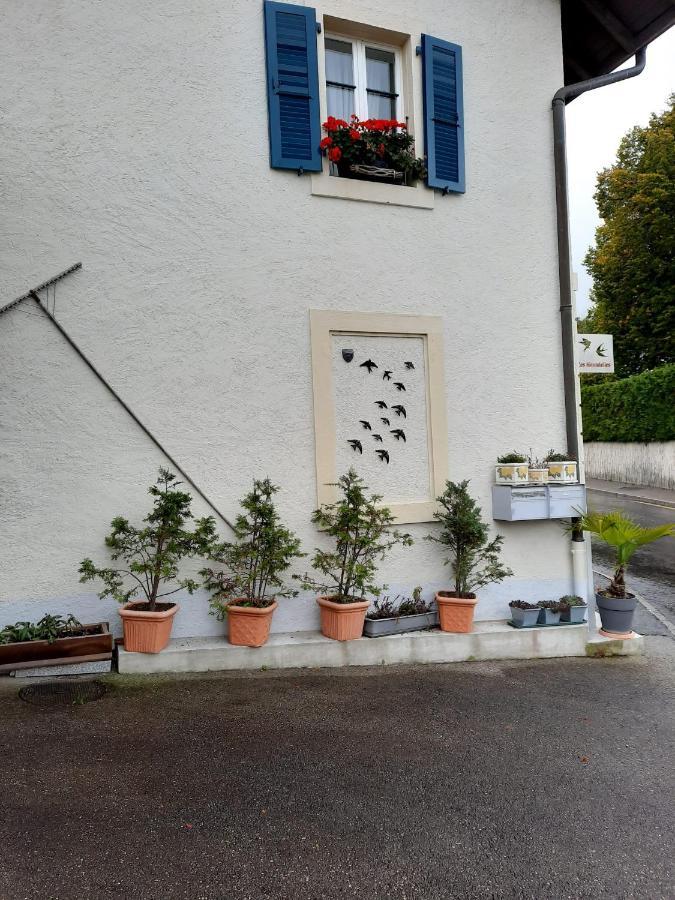 Les Hirondelles, Appartement De Vacances Avec Terrasse Et Coin Grillades Granges Exteriér fotografie