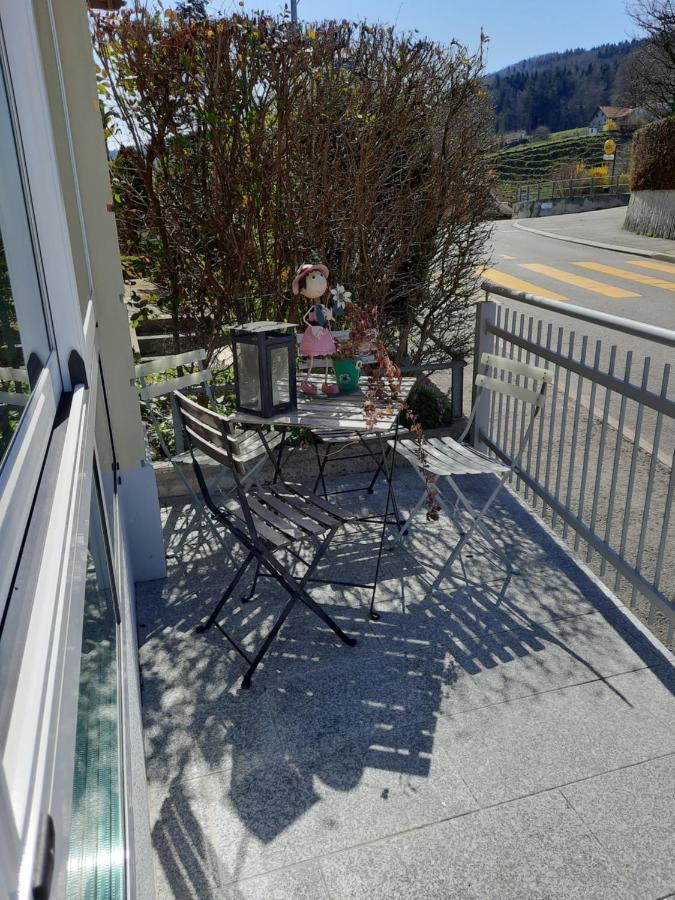 Les Hirondelles, Appartement De Vacances Avec Terrasse Et Coin Grillades Granges Exteriér fotografie